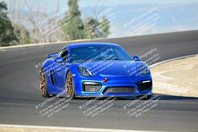 media/Mar-01-2025-Turn8 Trackdays (Sat) [[3bac13d0ad]]/Inter 3/Session 1 (Turns 2 and 3)/